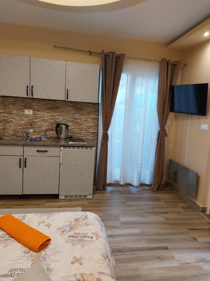 Apartmani Knezevic Zlatibor Esterno foto