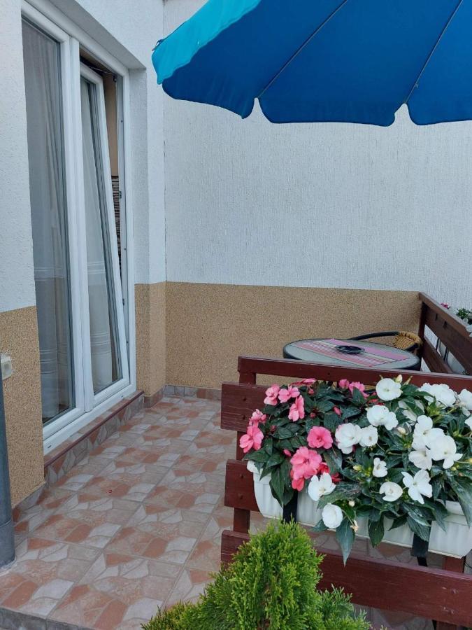 Apartmani Knezevic Zlatibor Esterno foto