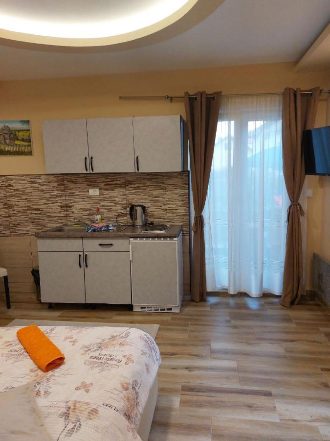 Apartmani Knezevic Zlatibor Esterno foto