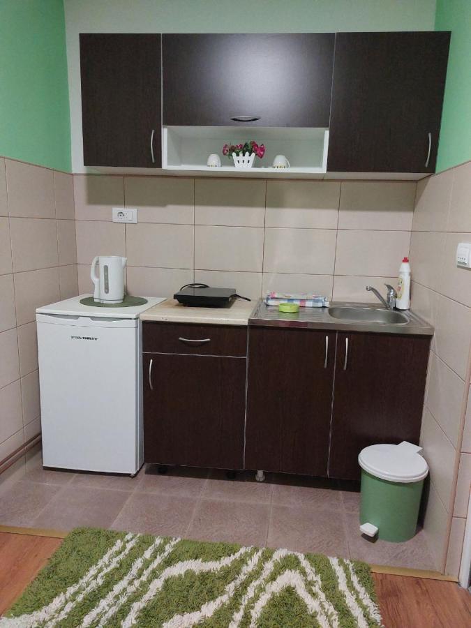 Apartmani Knezevic Zlatibor Esterno foto