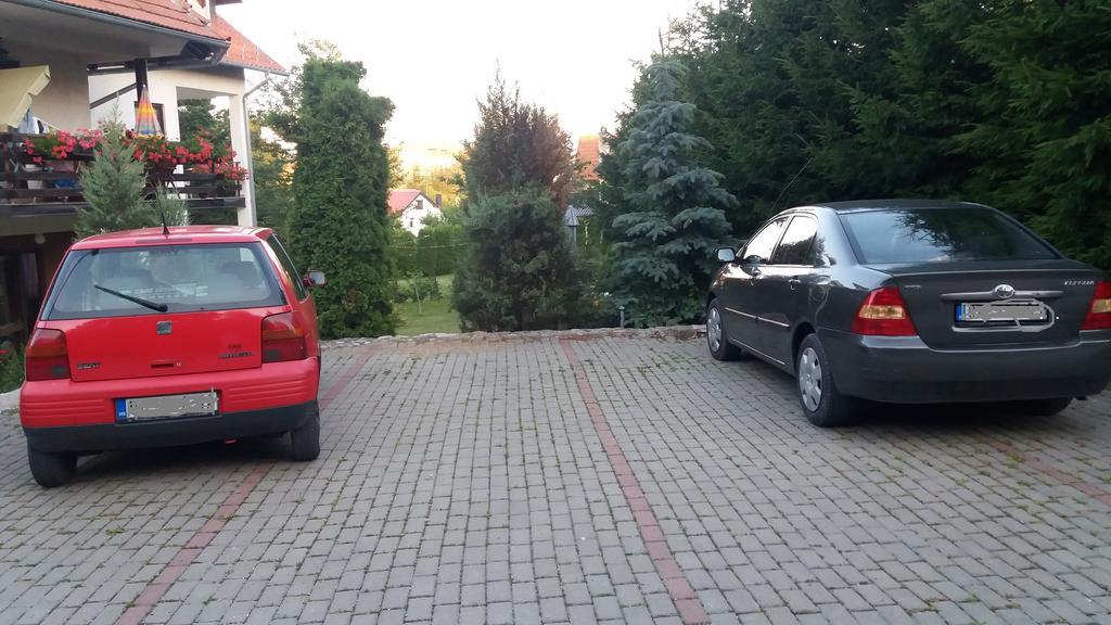 Apartmani Knezevic Zlatibor Esterno foto