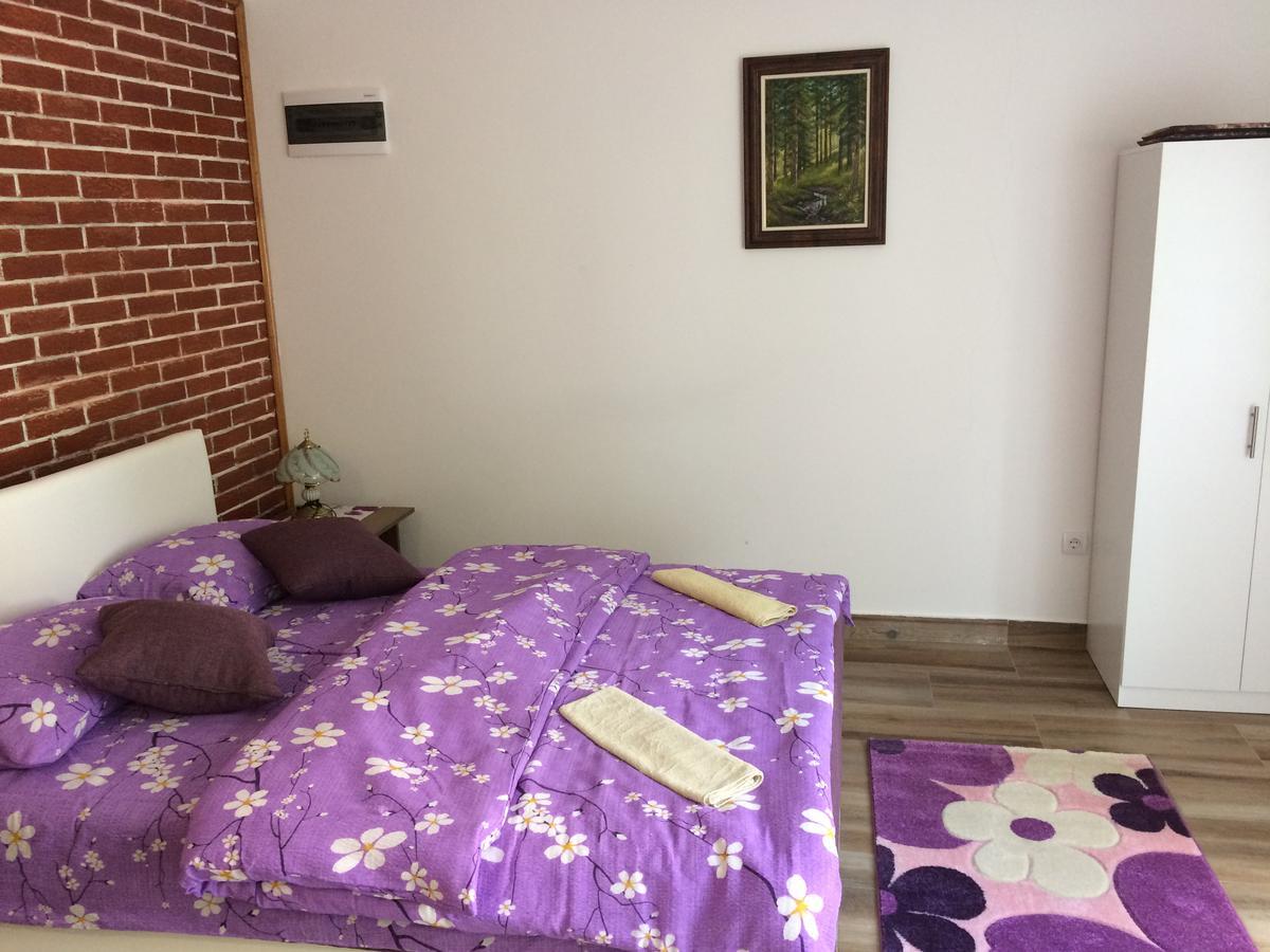 Apartmani Knezevic Zlatibor Esterno foto