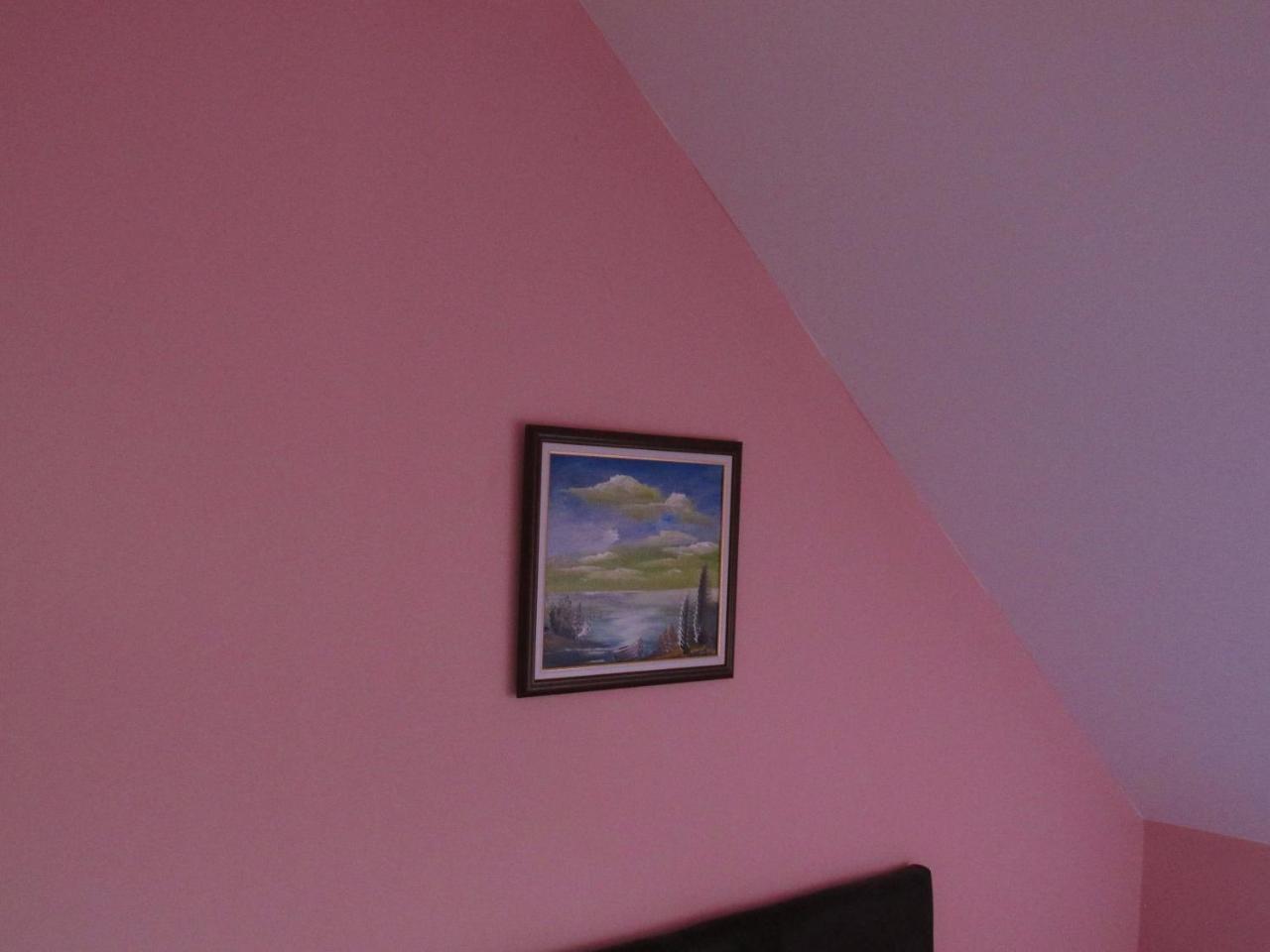 Apartmani Knezevic Zlatibor Esterno foto