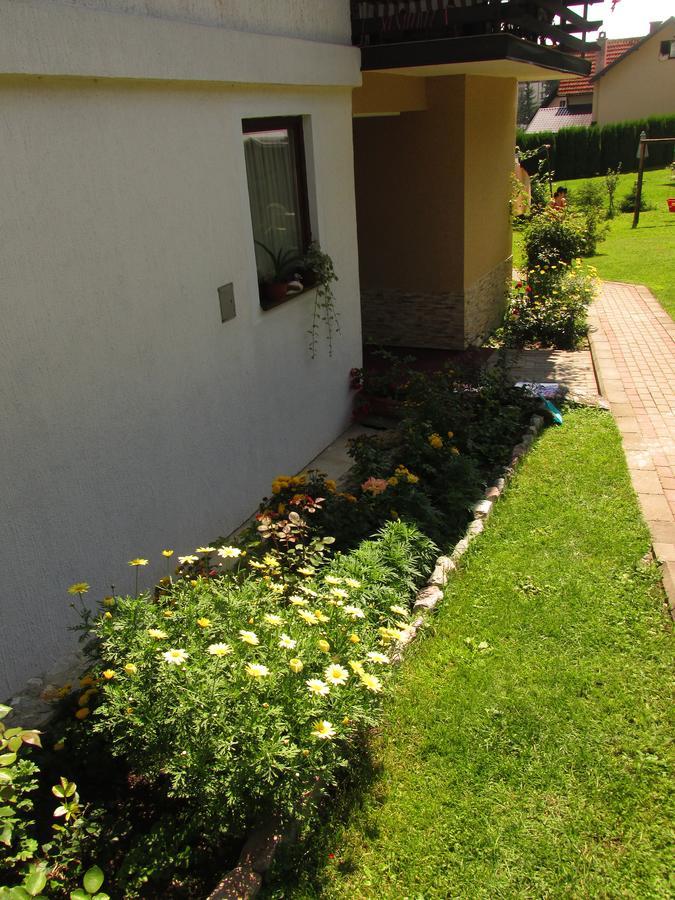 Apartmani Knezevic Zlatibor Esterno foto